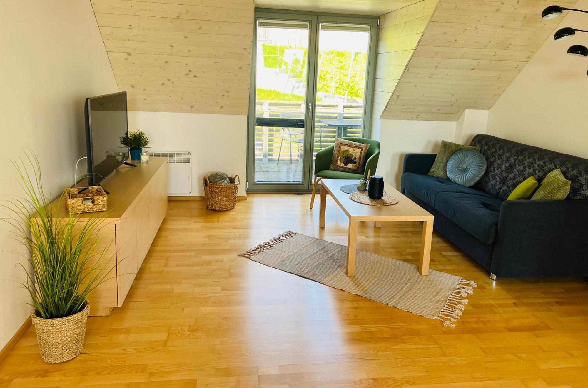 Dovolena Bez Starosti - Apartman U Venuse Павлов Экстерьер фото